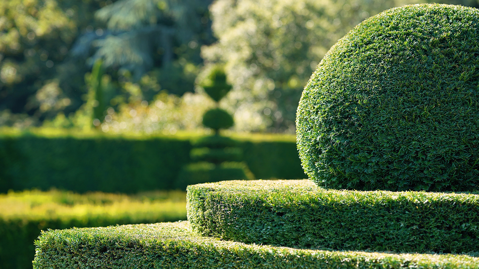 js-tree-garden-service-slide